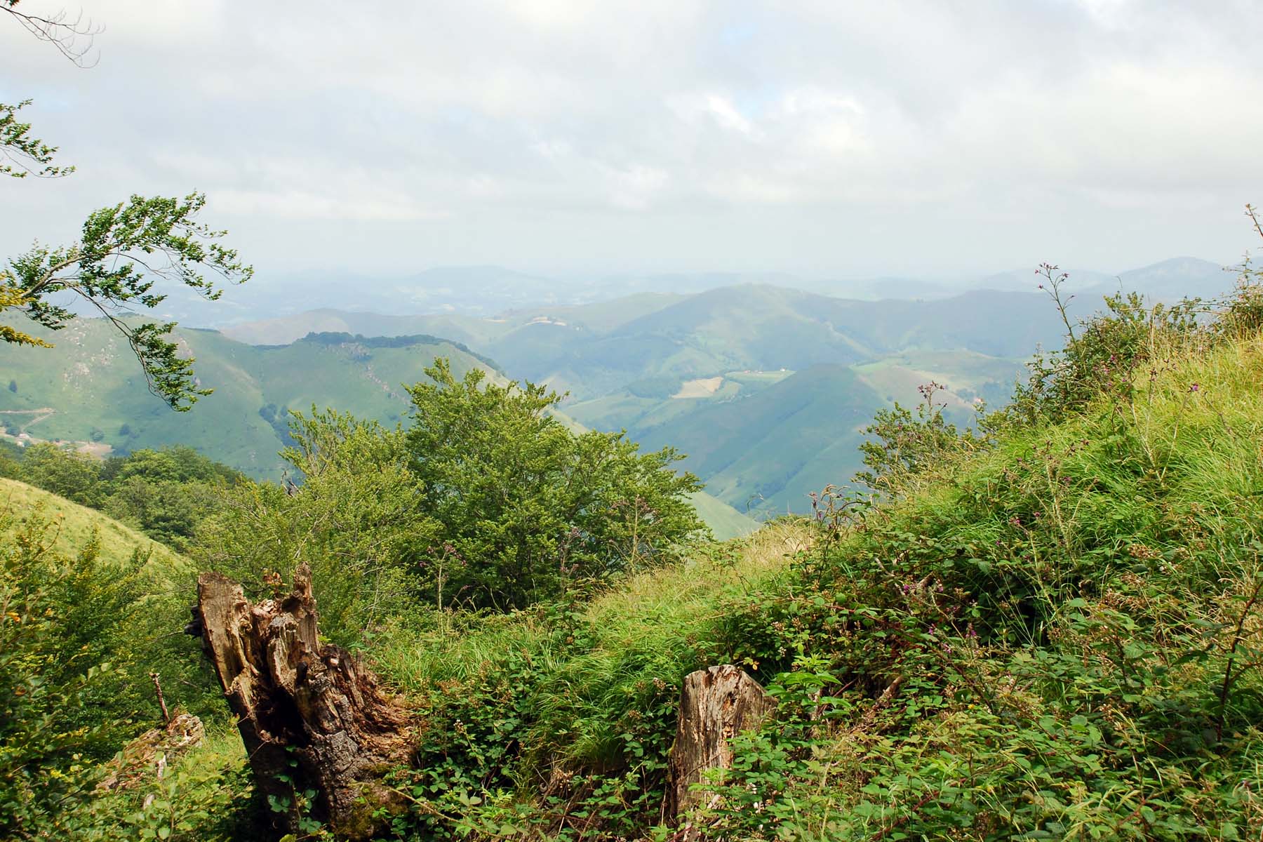 Col d'Orgambide